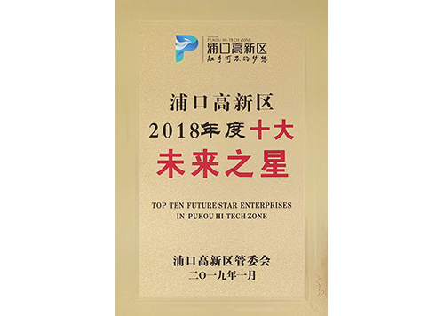 浦口高新區(qū)2018年度十大未來之星